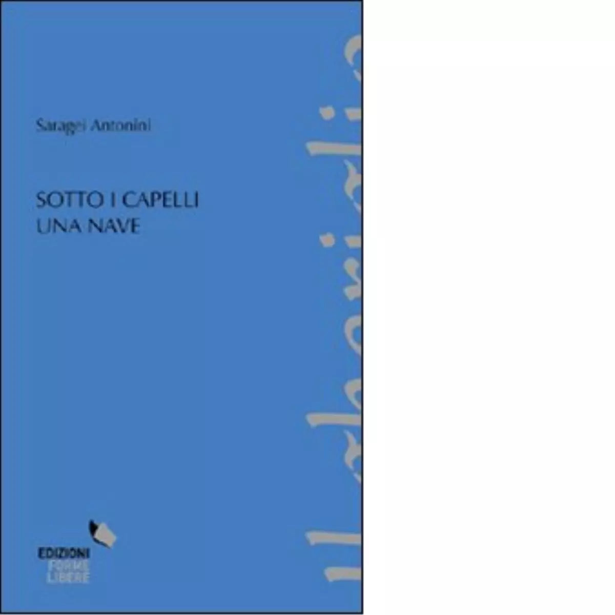 Sotto i capelli una nave di Saragei Antonini