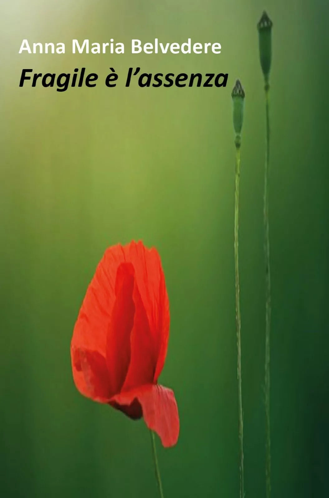Fragile e l’assenza di Anna Maria Belvedere, 2018, Youcanprint