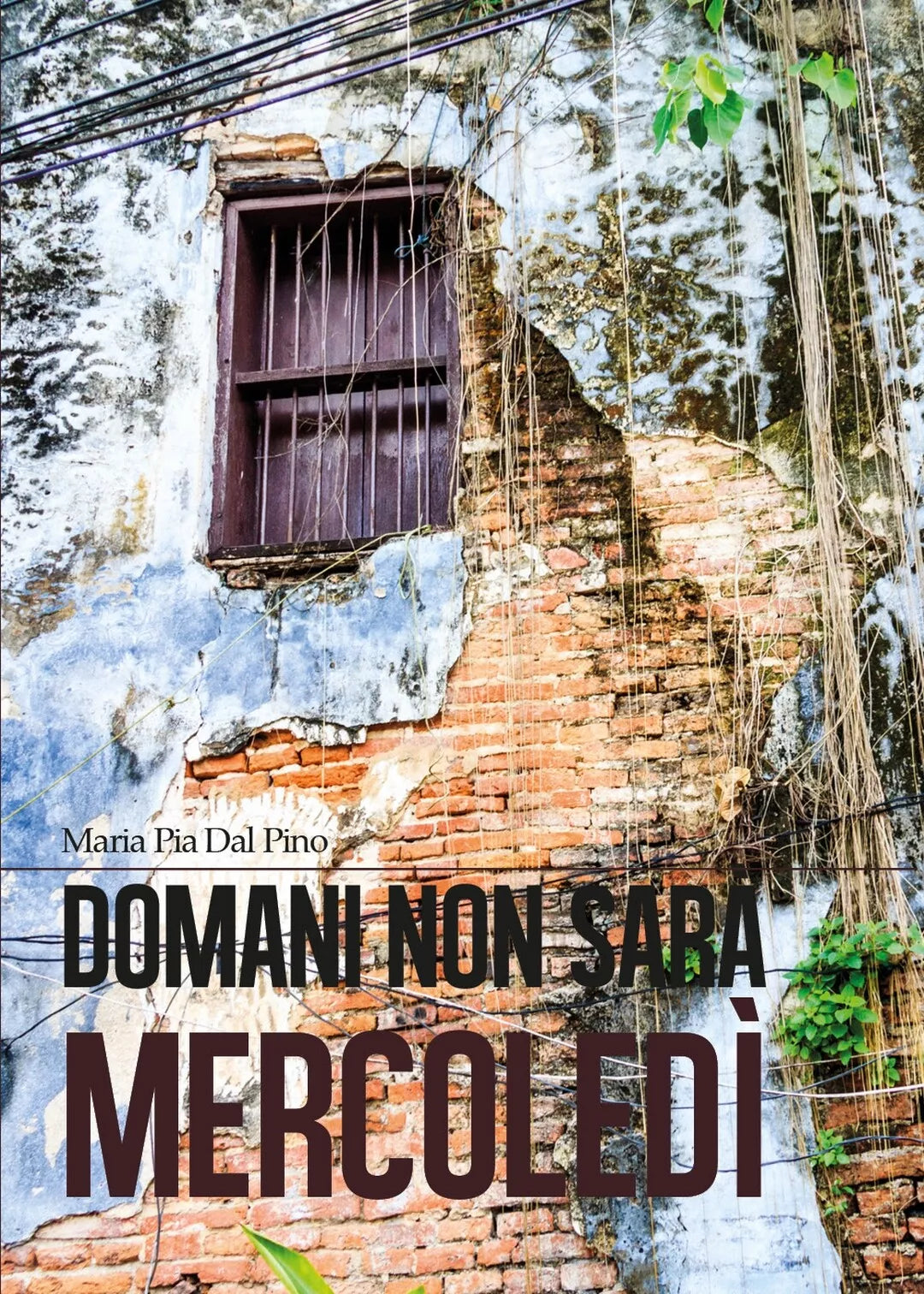 Domani non sara mercoledi di Maria Pia Dal Pino, 2019, Youcanprint