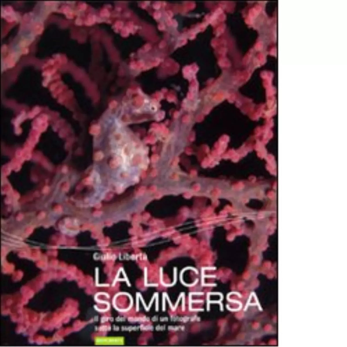 La luce sommersa di Giulio Libert