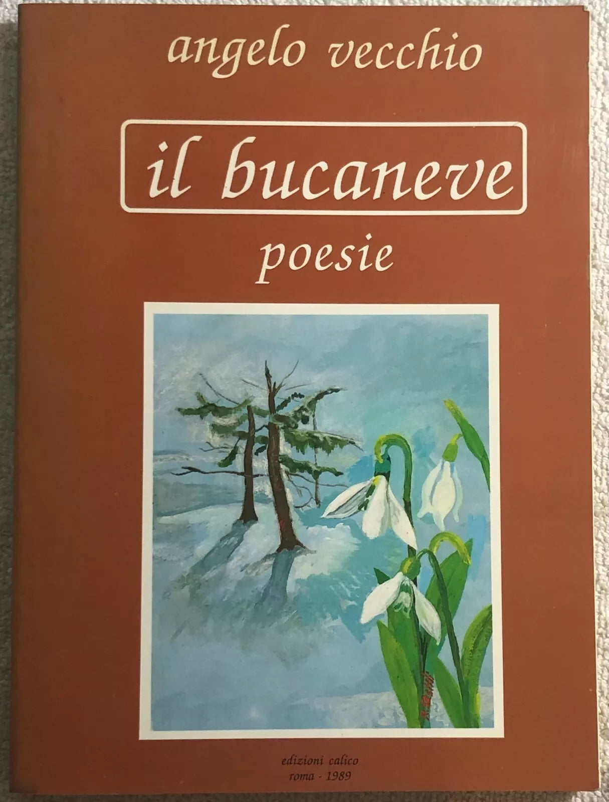 Il bucaneve di Angelo Vecchio, 1989, Edizioni Calico