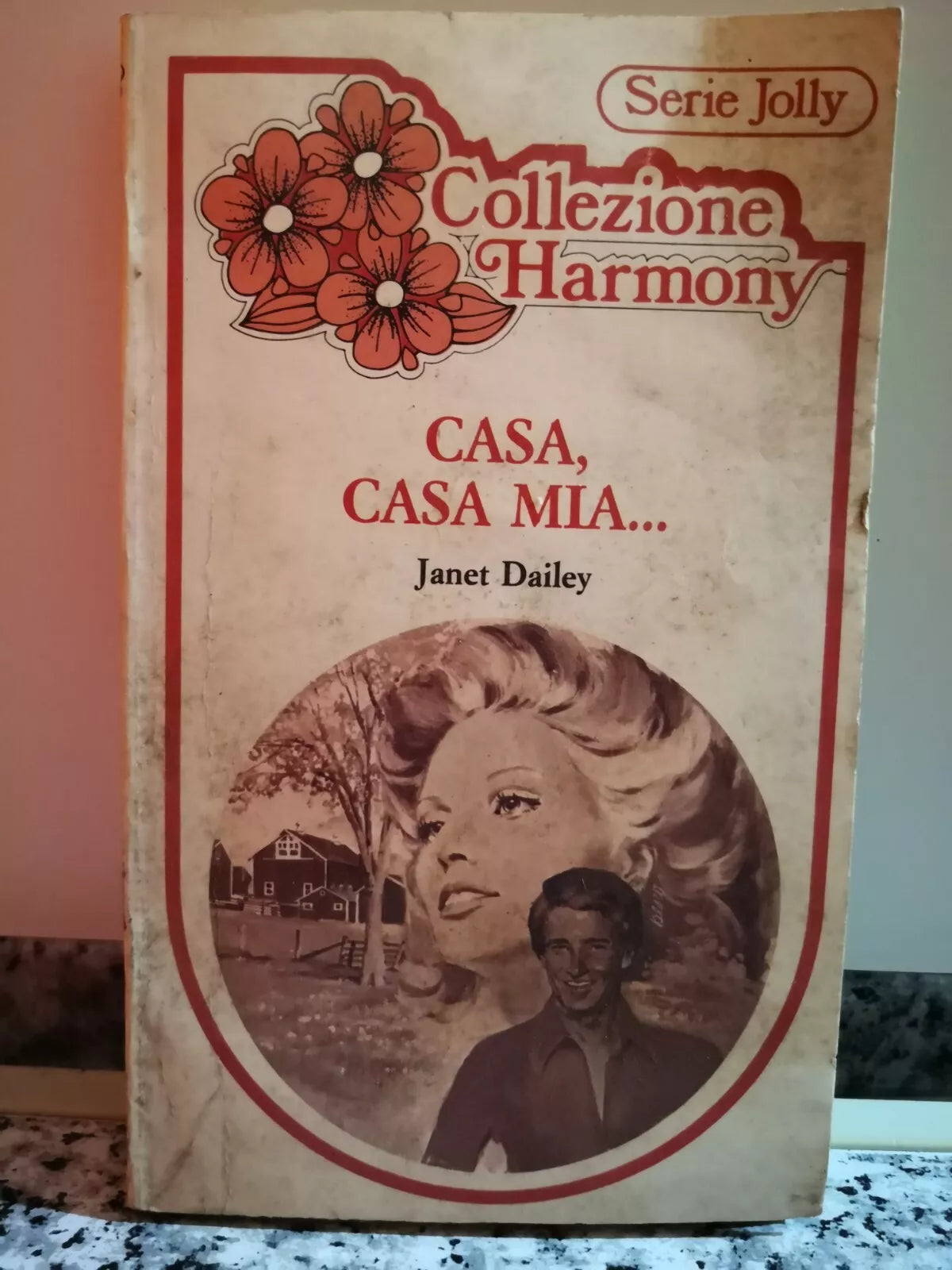 Casa, casa mia di Janet Dailey, 1983, H.mondadori-F