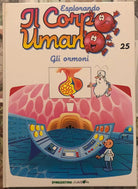 Esplorando il corpo umano n 25