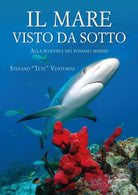 Il mare visto da sotto