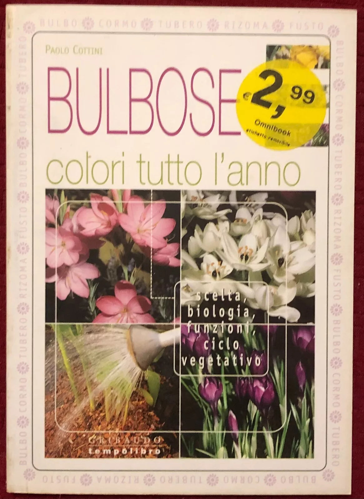 Bulbose Colori tutto l anno di Paolo Cottini