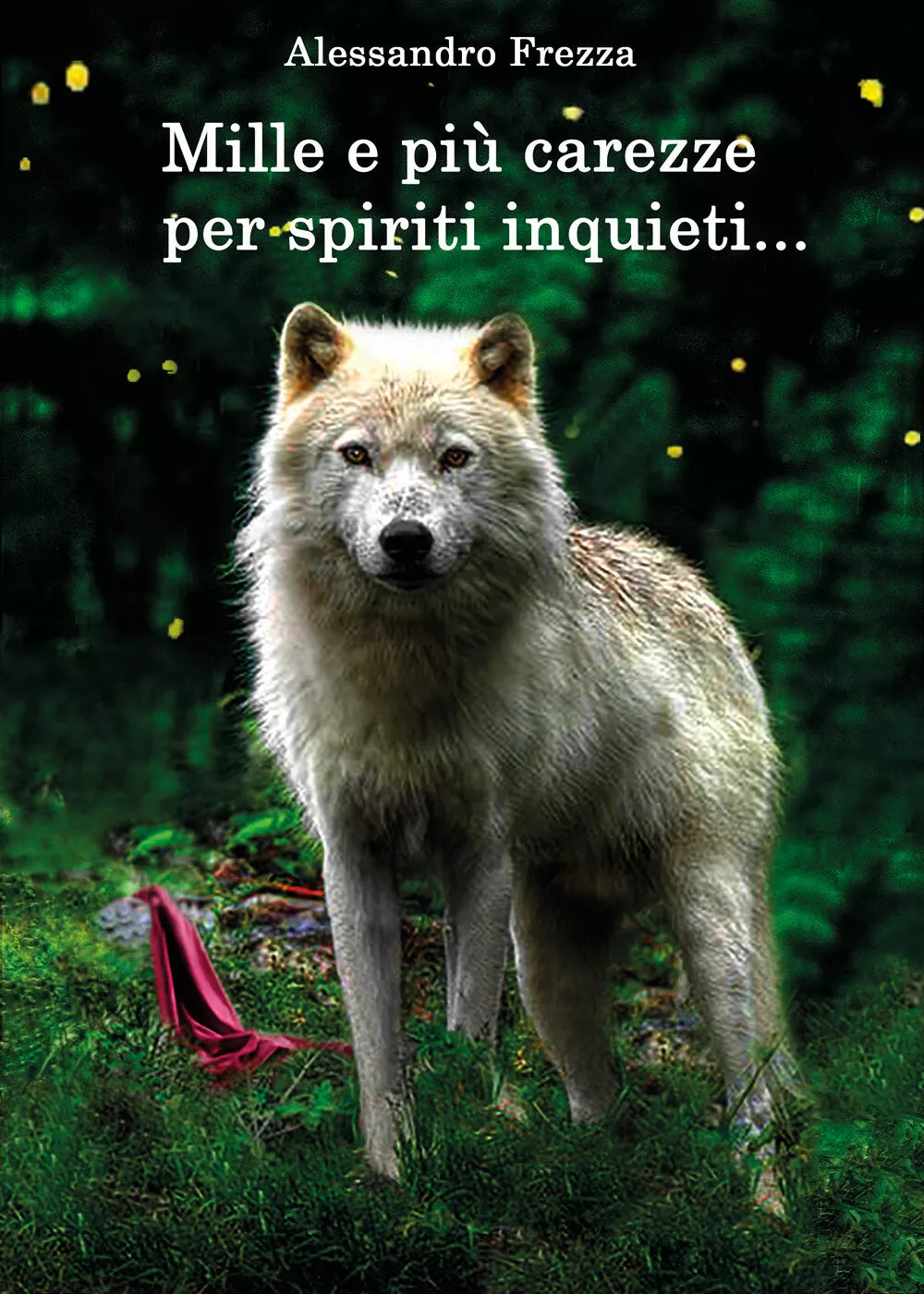 Mille e piu carezze per spiriti inquieti di Alessandro Frezza, 2020, Youcanpri
