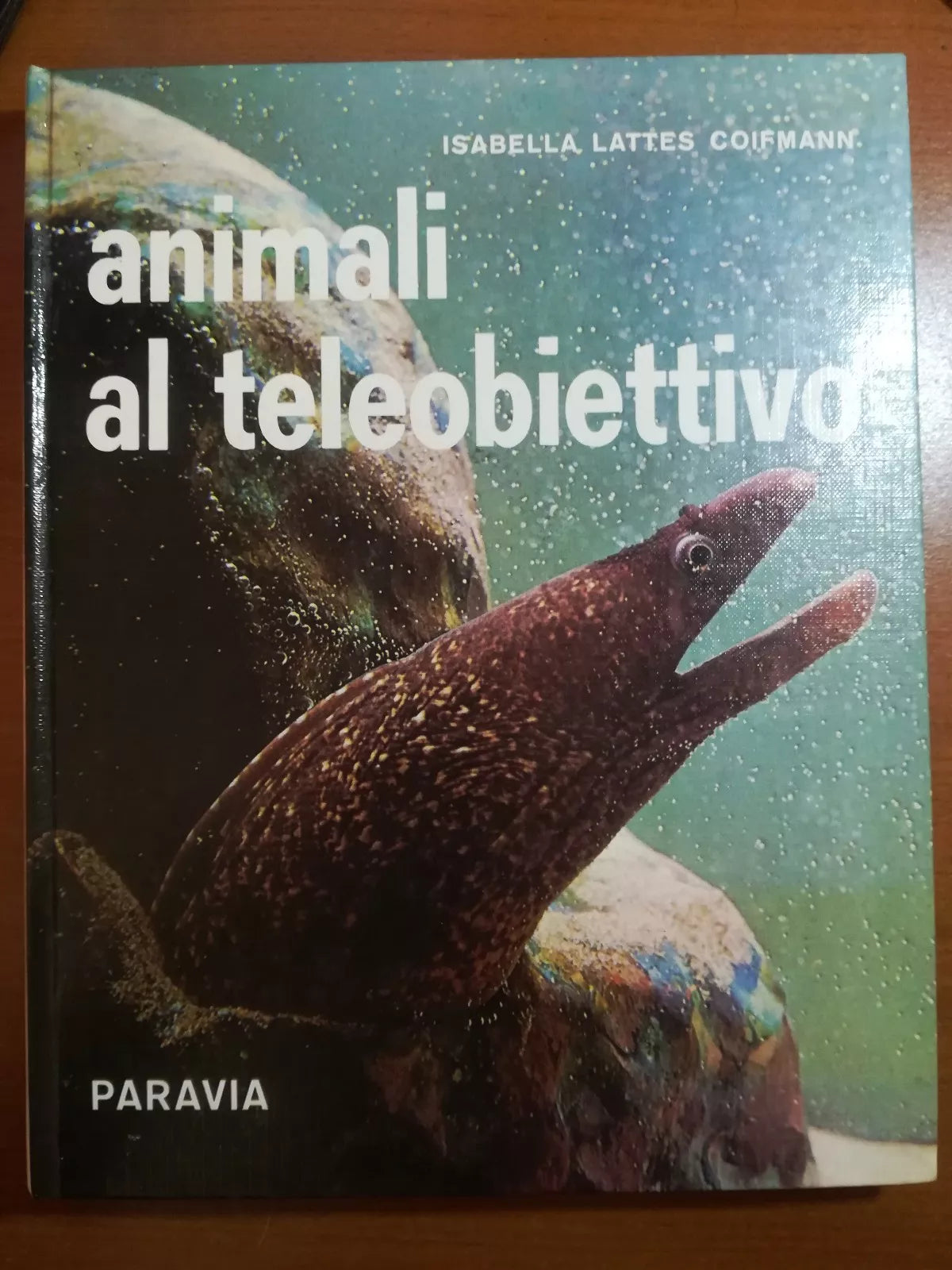 Animali al teleobiettivo - Isabella Lattes Coifmann - Paravia - 1968 - M