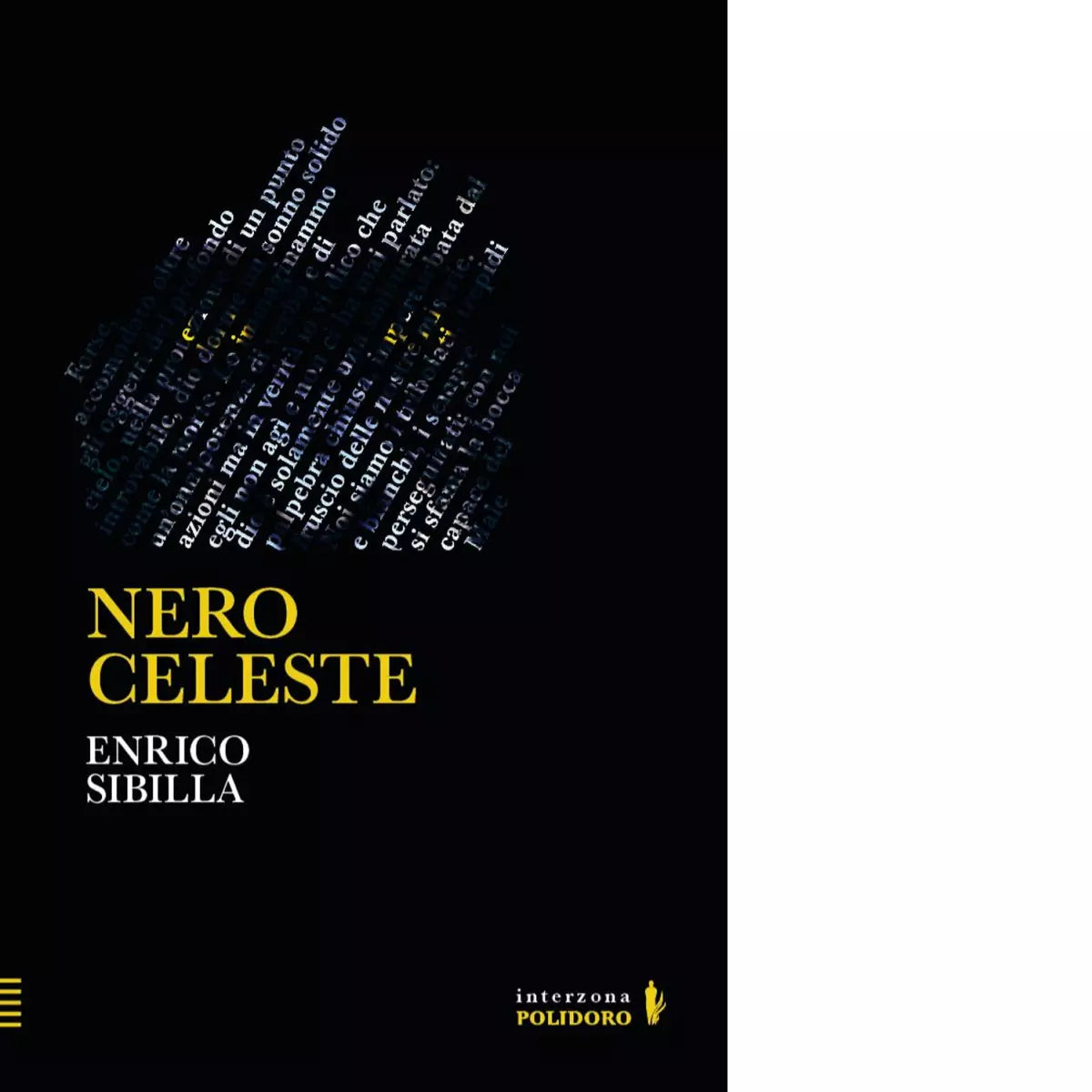 Nero celeste Libro di Enrico Sibilla