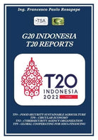 G20 Indonesia T20 Reports di Francesco Paolo Rosapepe