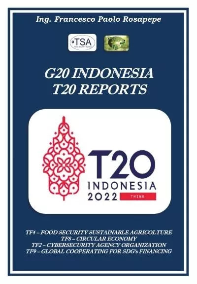 G20 Indonesia T20 Reports di Francesco Paolo Rosapepe