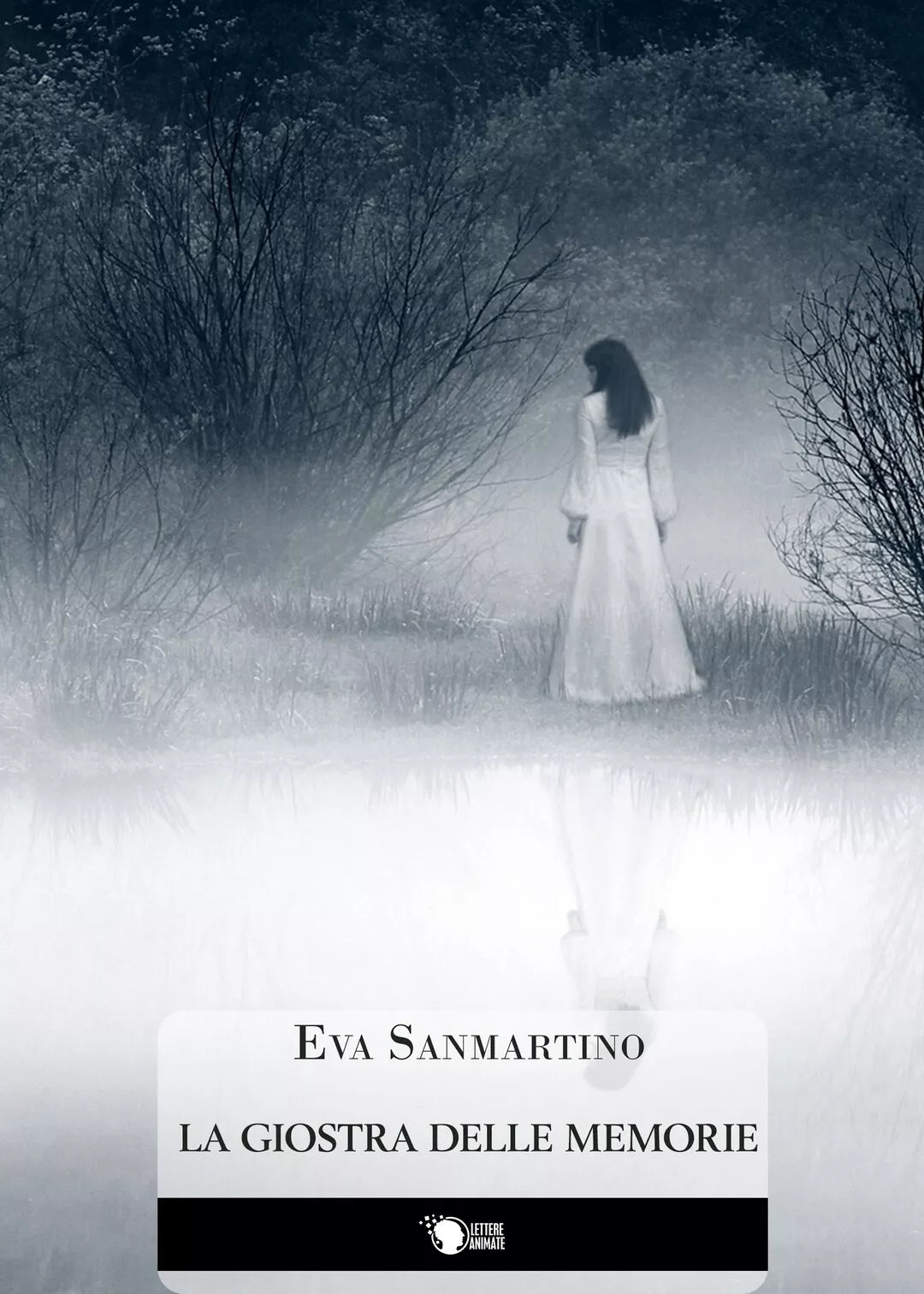 La Giostra delle memorie di Eva Sanmartino, 2016, Lettere Animate Editore
