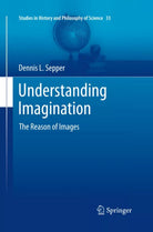 Understanding Imagination