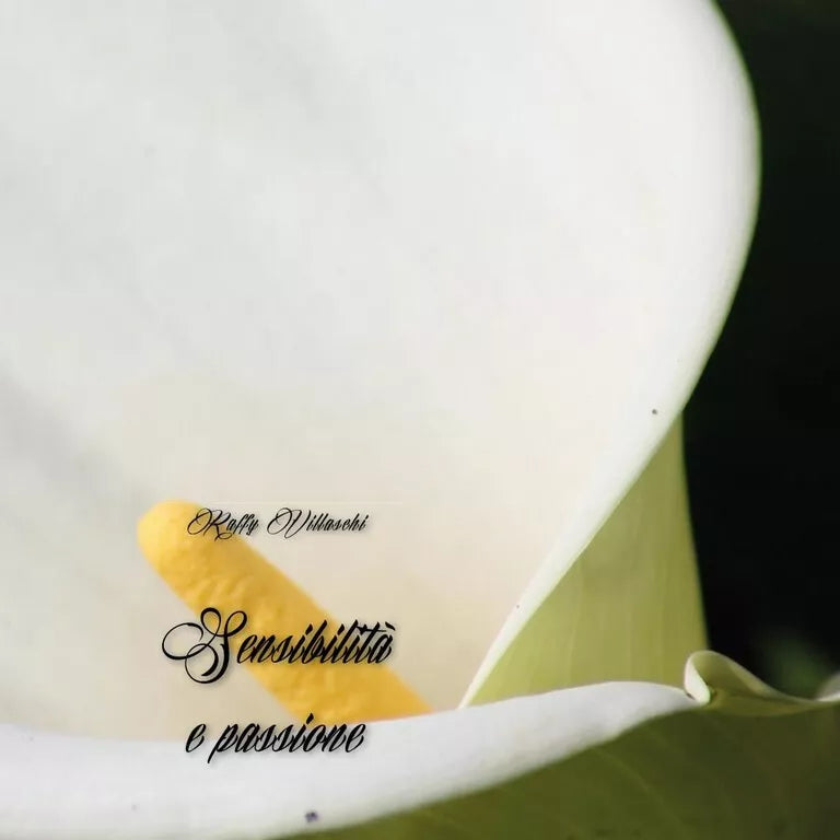 Sensibilita e passione di Raffy Villaschi, 2015, Youcanprint