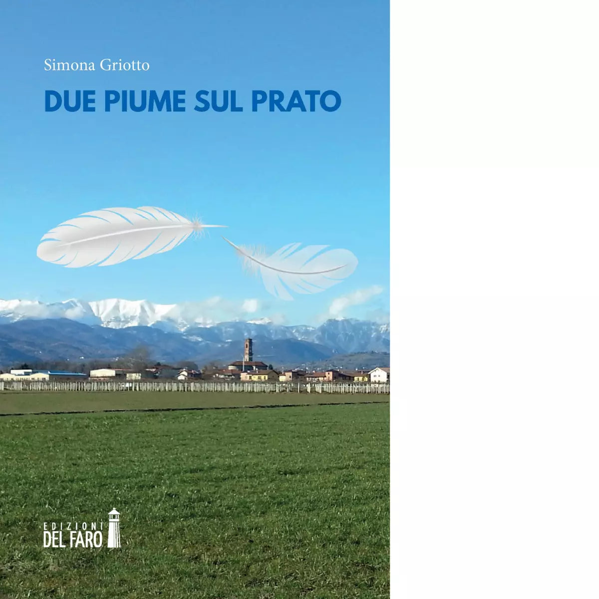 Due piume sul prato di Griotto Simona