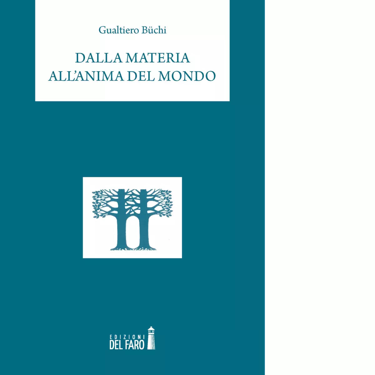 Dalla materia all anima del mondo di B chi Gualtiero