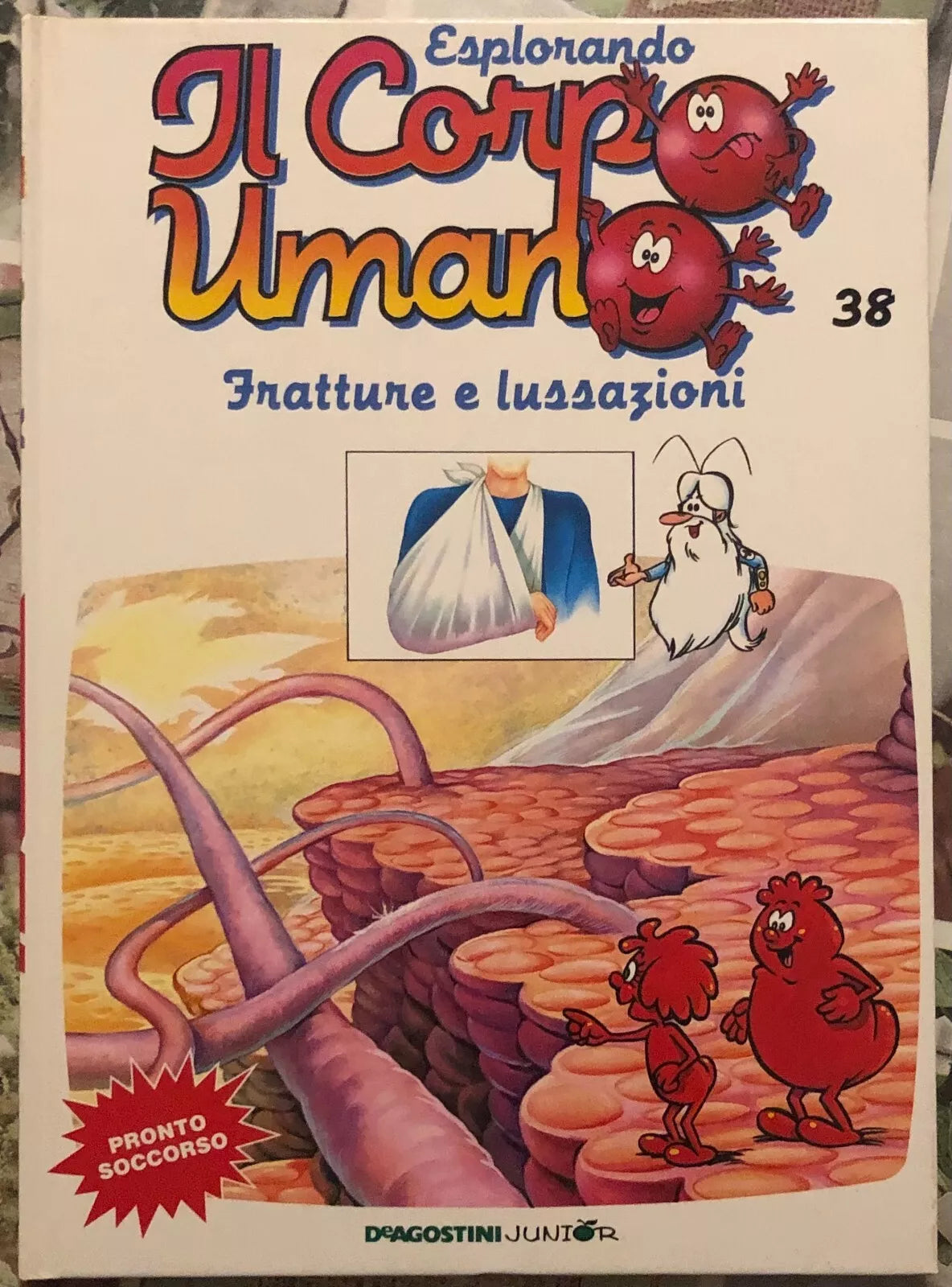 Esplorando il corpo umano n 38