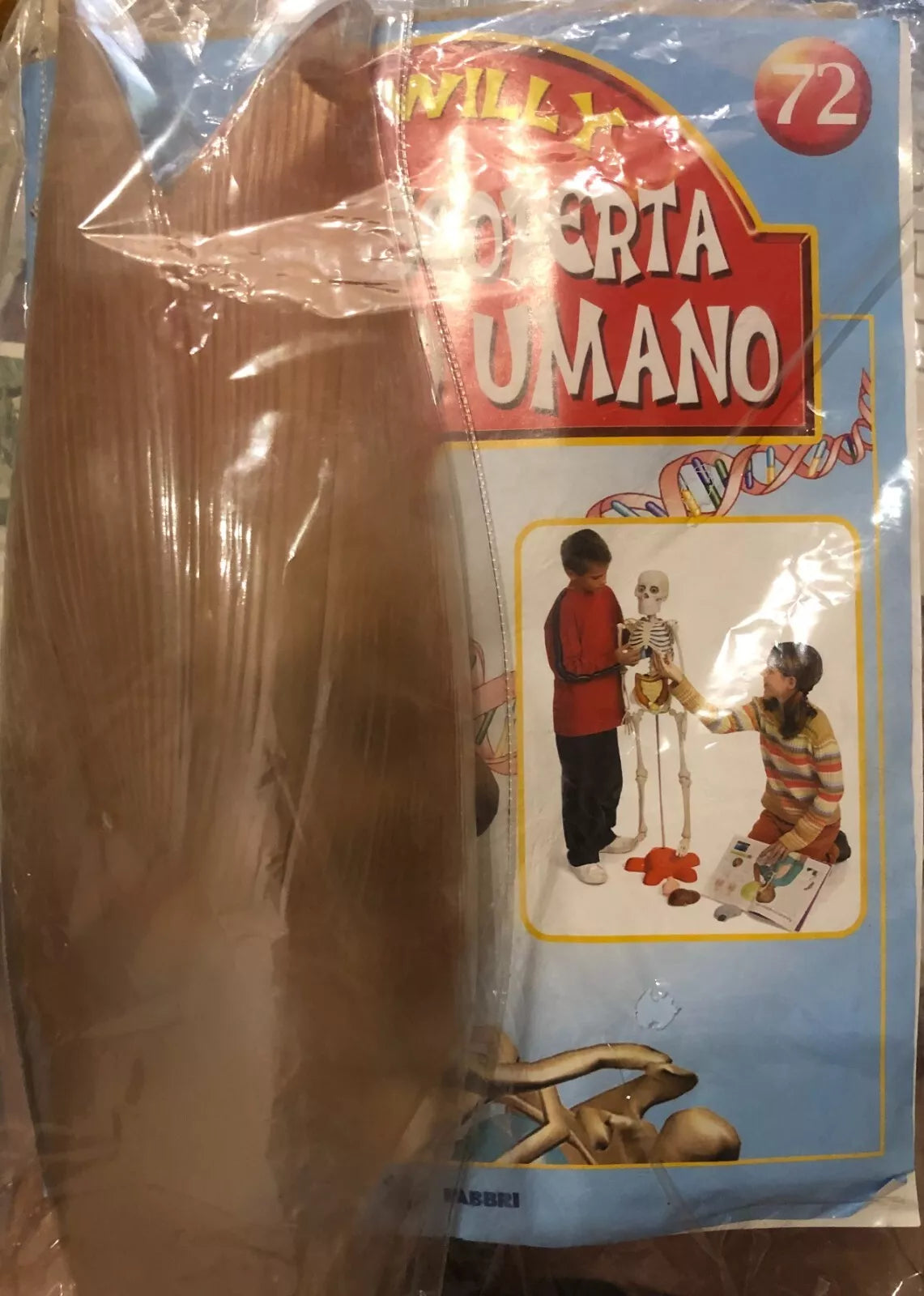 Alla scoperta del corpo umano con Willy n 72 Muscoli della coscia di Aa vv