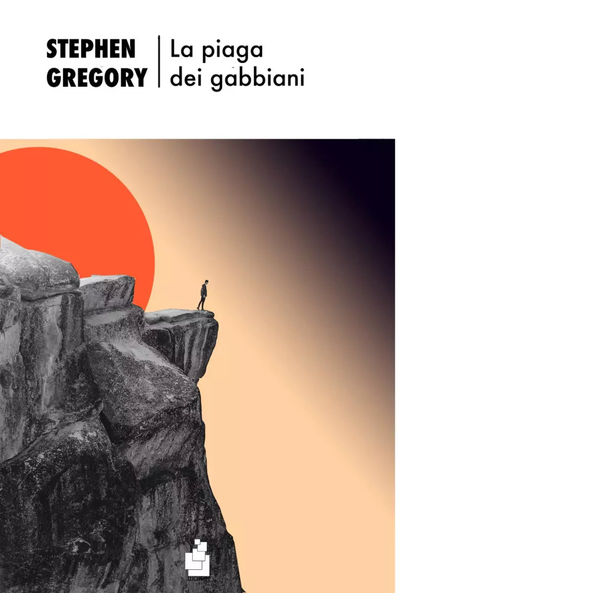 La piaga dei gabbiani