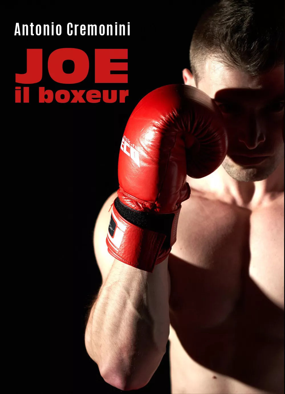 Joe il boxeur di Antonio Cremonini