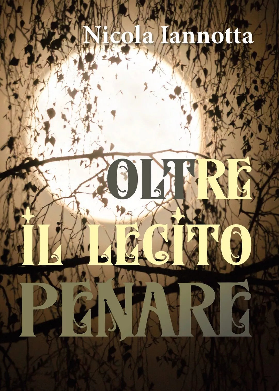 Oltre il lecito penare di Nicola Iannotta, 2019, Youcanprint