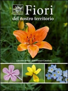 Fiori del nostro territorio di Luciano Vinco