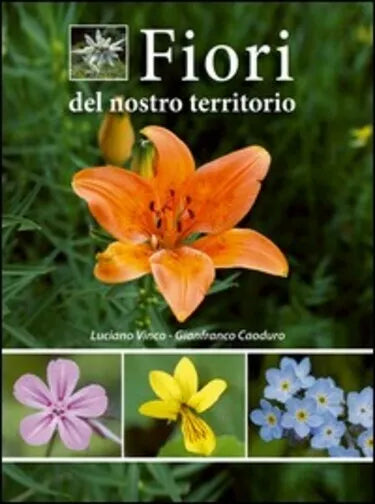 Fiori del nostro territorio di Luciano Vinco