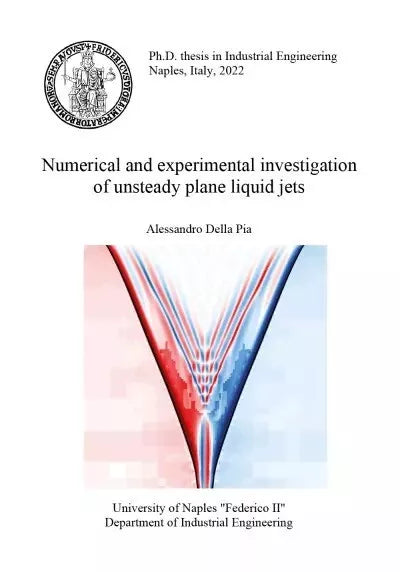 Numerical and experimental investigation of unsteady plane liquid jets di Ales
