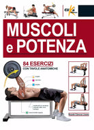Muscoli e potenza