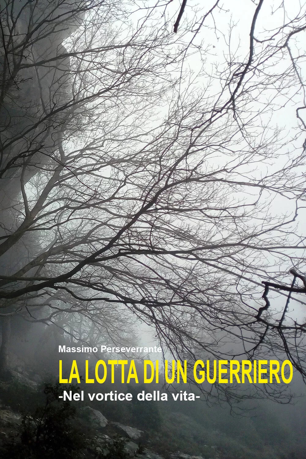 La lotta di un guerriero di Massimo Perseverrante