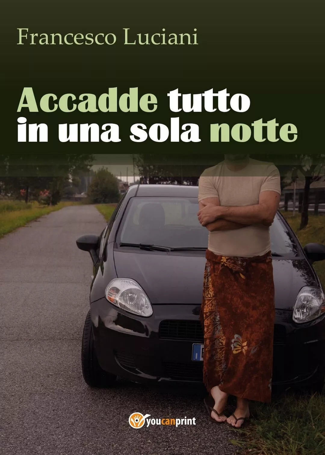 Accadde tutto in una sola notte di Francesco Luciani, 2016, Youcanprint