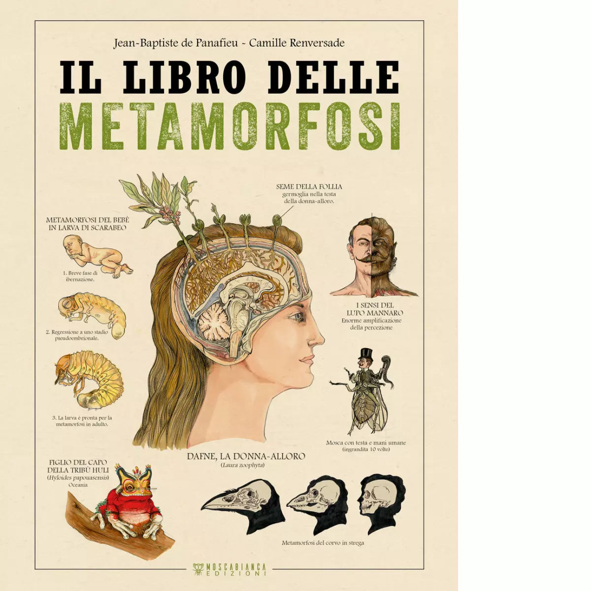 Il libro delle metamorfosi di De Panafieu Jean
