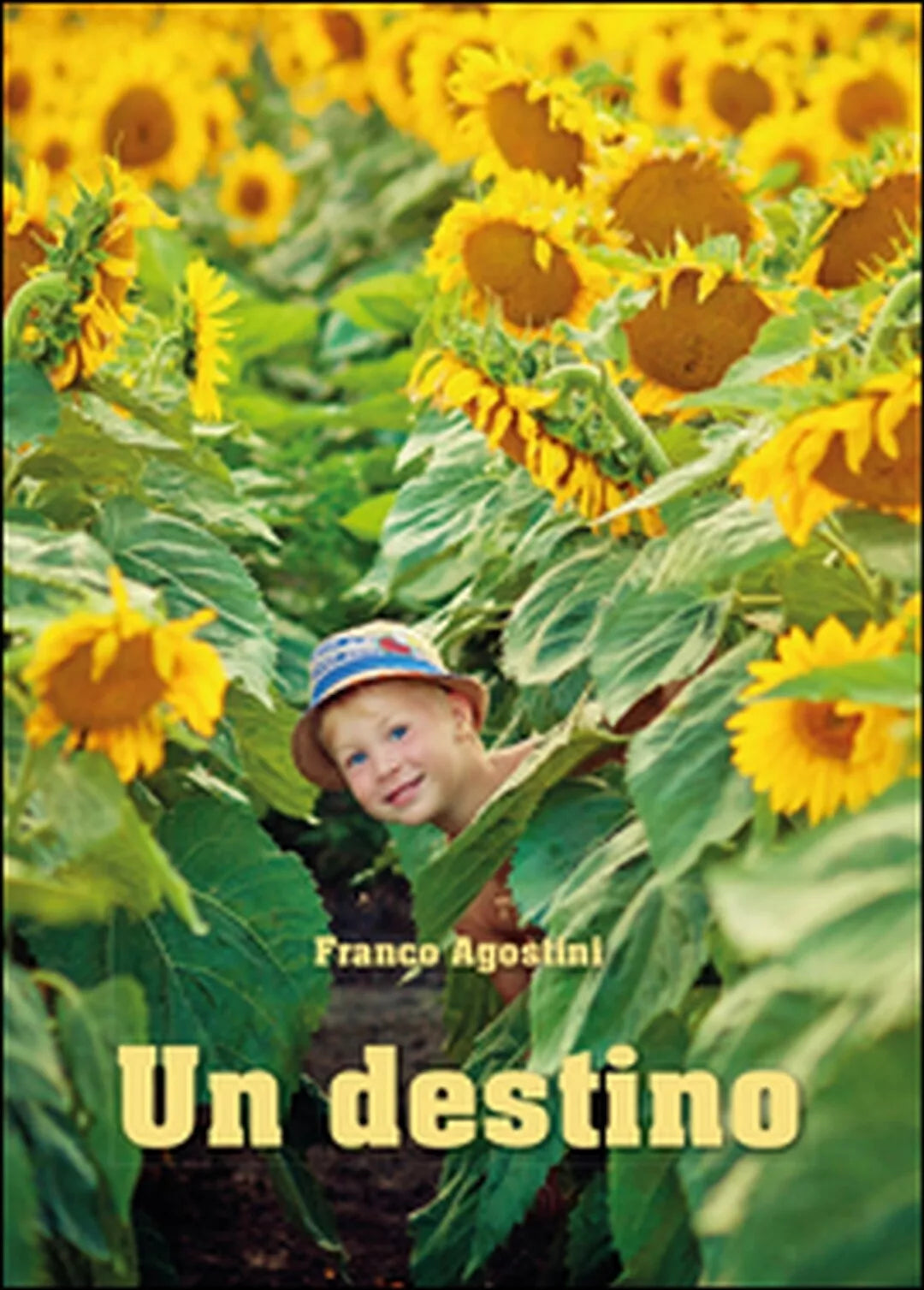 Un destino di Franco Agostini, 2014, Youcanprint