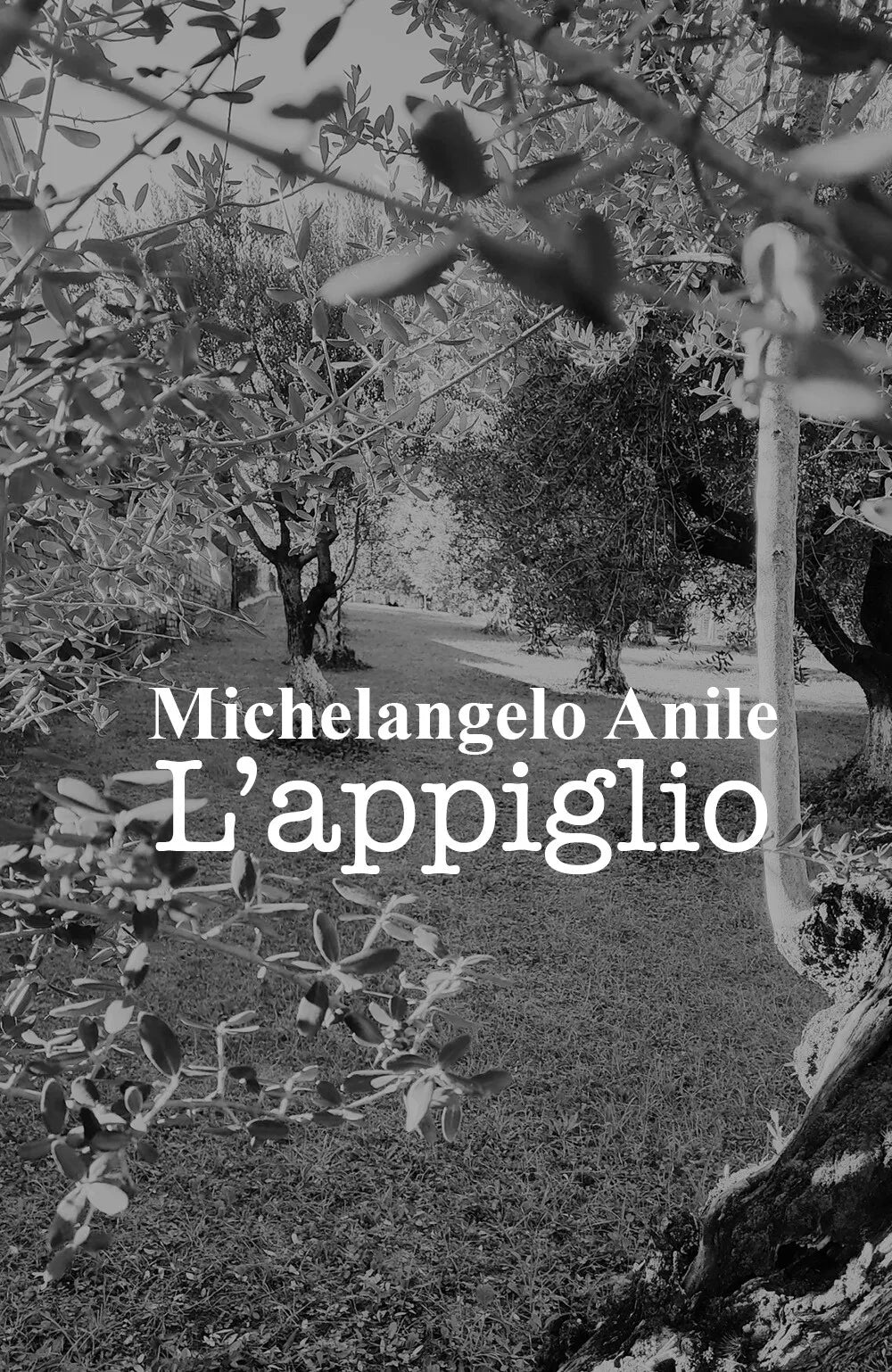 L appiglio di Michelangelo Anile