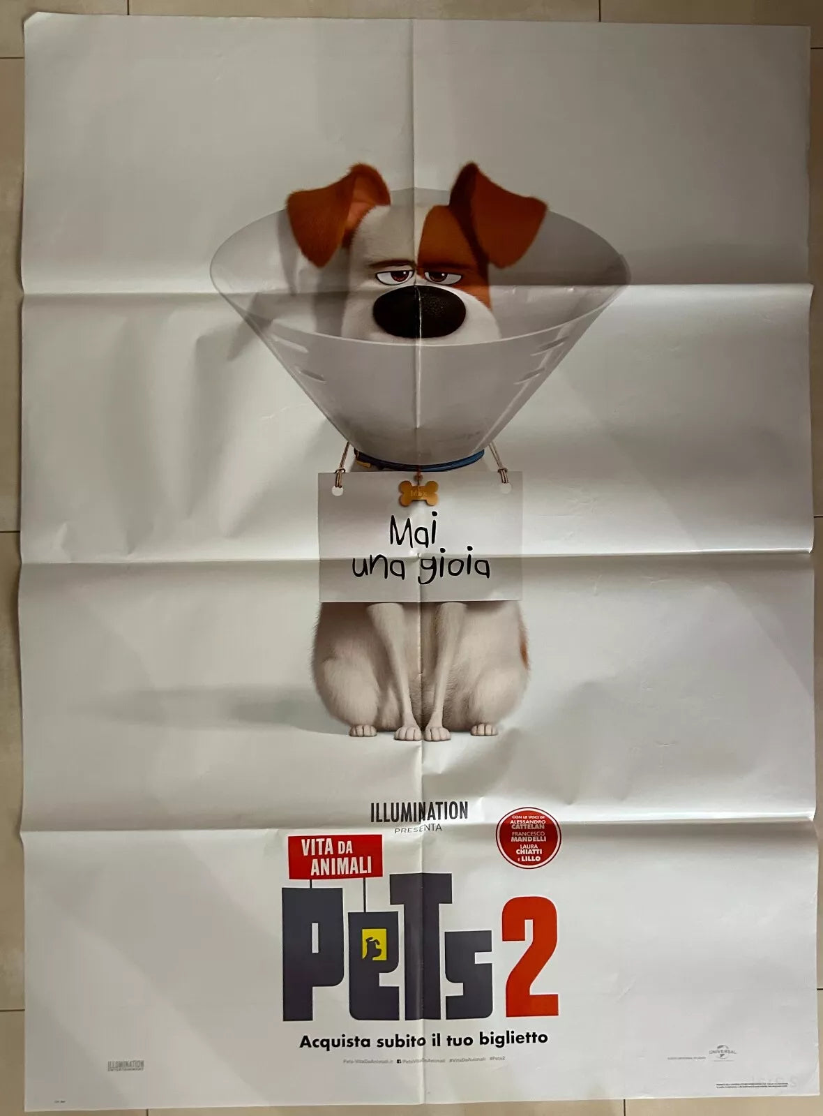 Poster locandina Pets 2