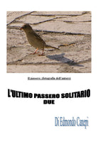 L’ultimo passero solitario di Edmondo Canepi, 2019, Youcanprint