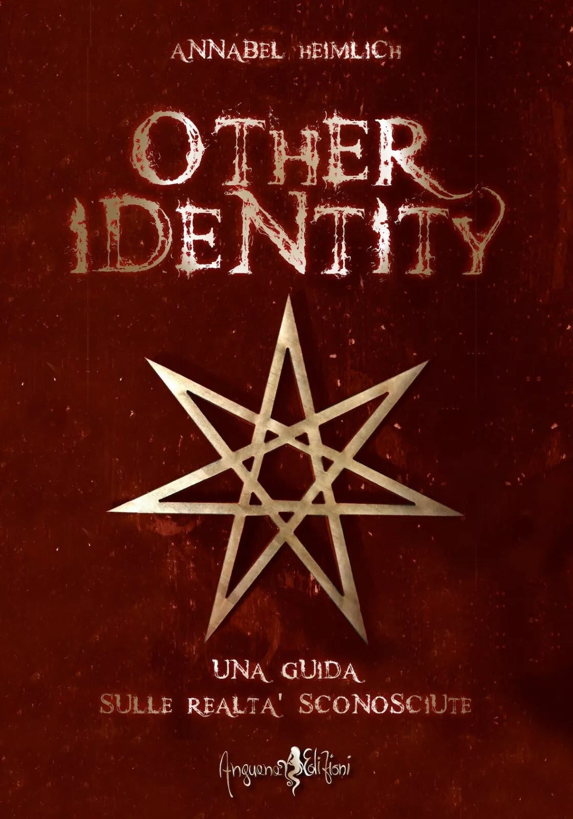 Other identity Una guida sulle realt sconosciute di Annabel Heimlich
