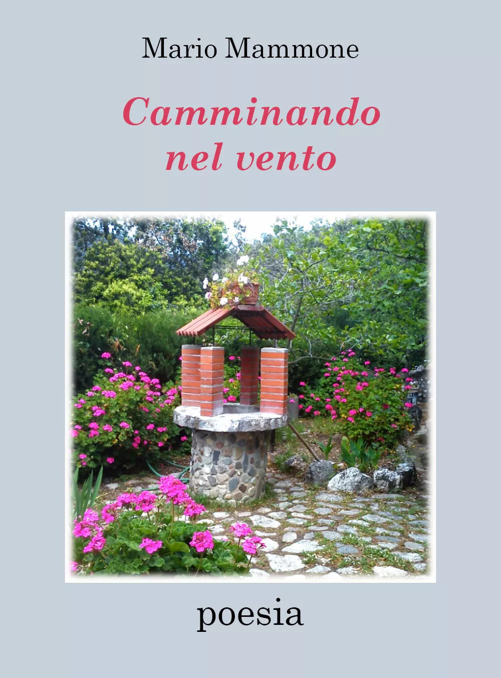 Camminando nel vento di Mario Mammone, 2021, Youcanprint