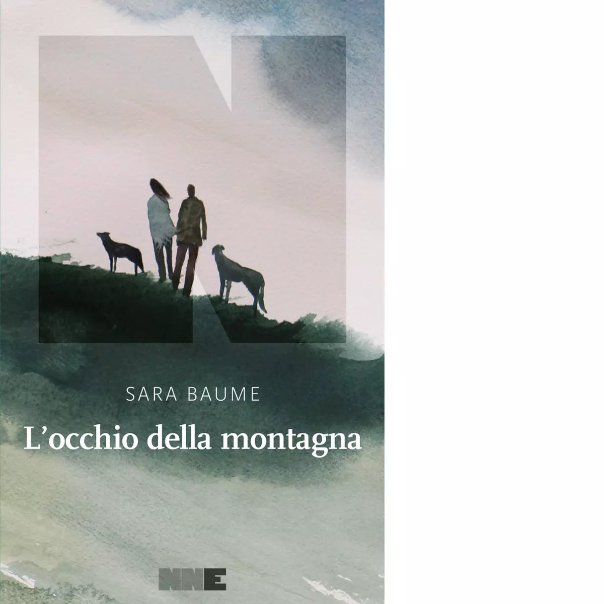 L occhio della montagna di Sara Baume