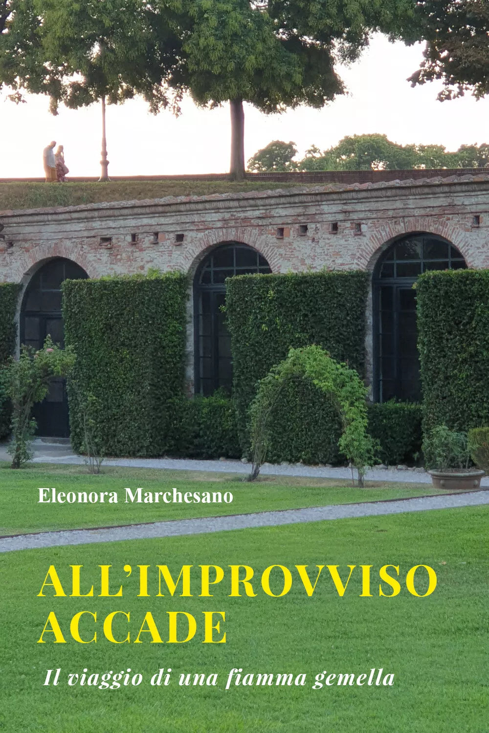 All’improvviso accade di Eleonora Marchesano, 2021, Youcanprint