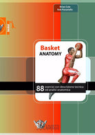 Basket anatomy