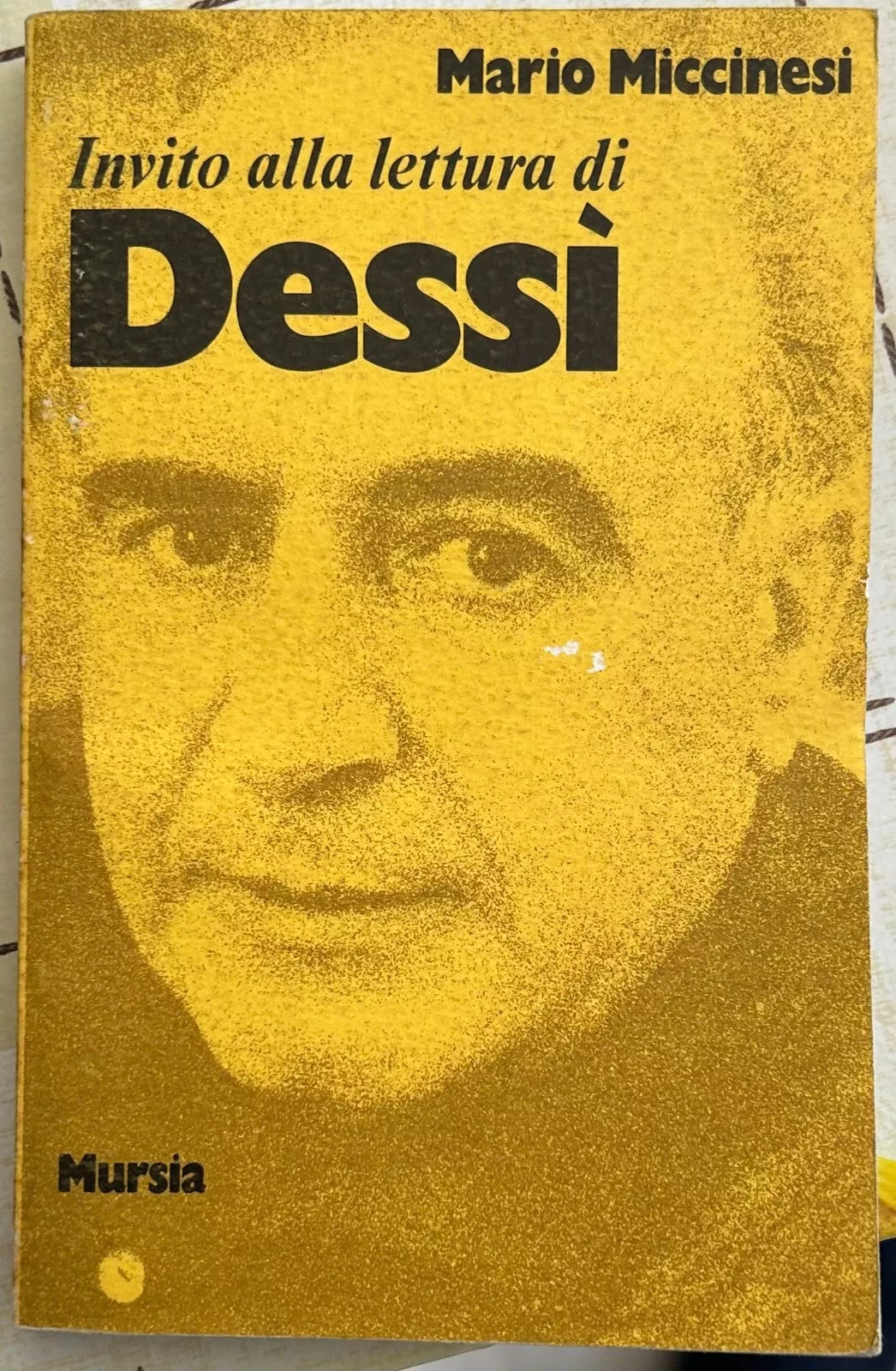 Invito alla lettura di Dess di Mario Miccinesi
