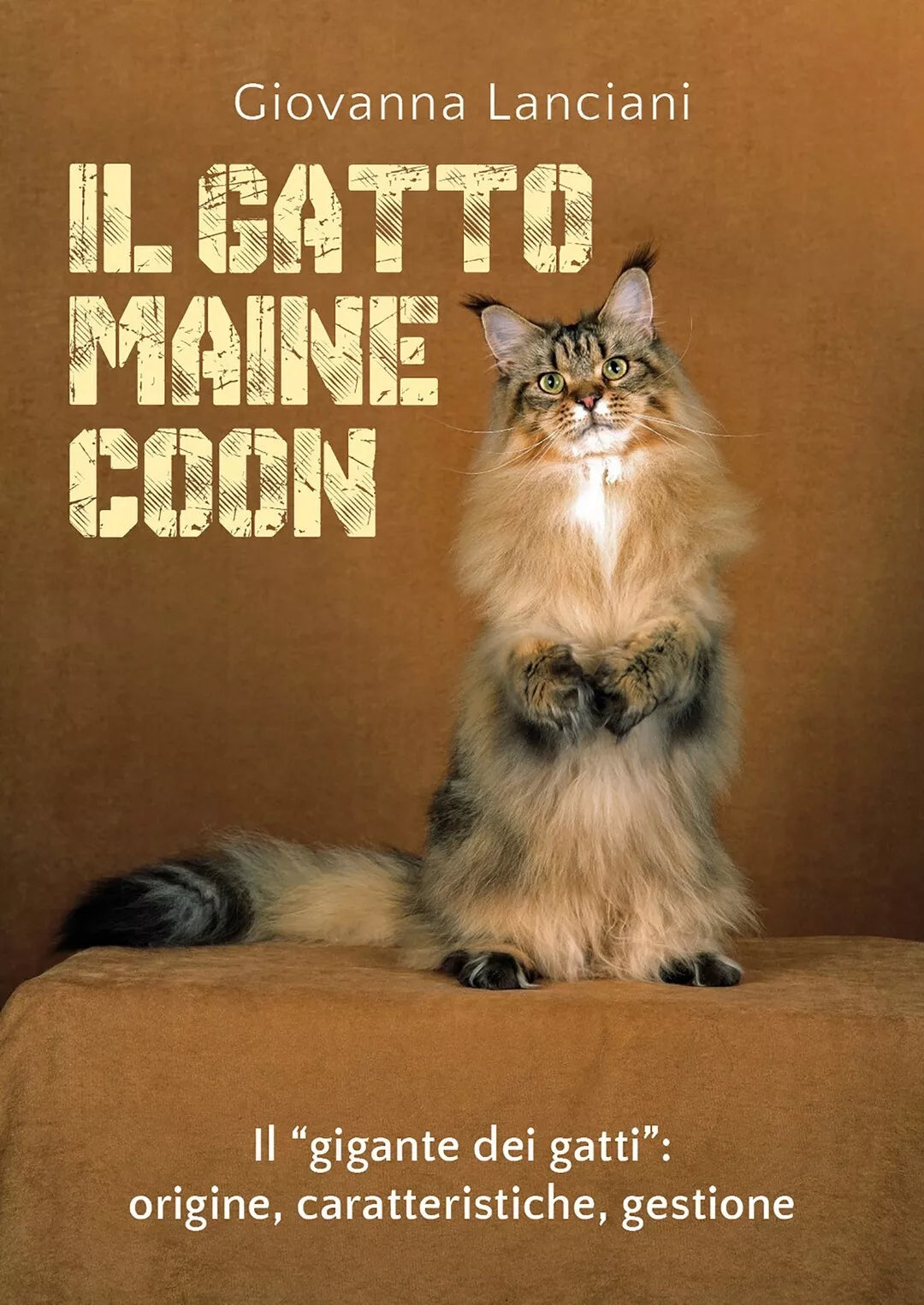 Il gatto Maine Coon di Giovanna Lanciani, 2020, Youcanprint