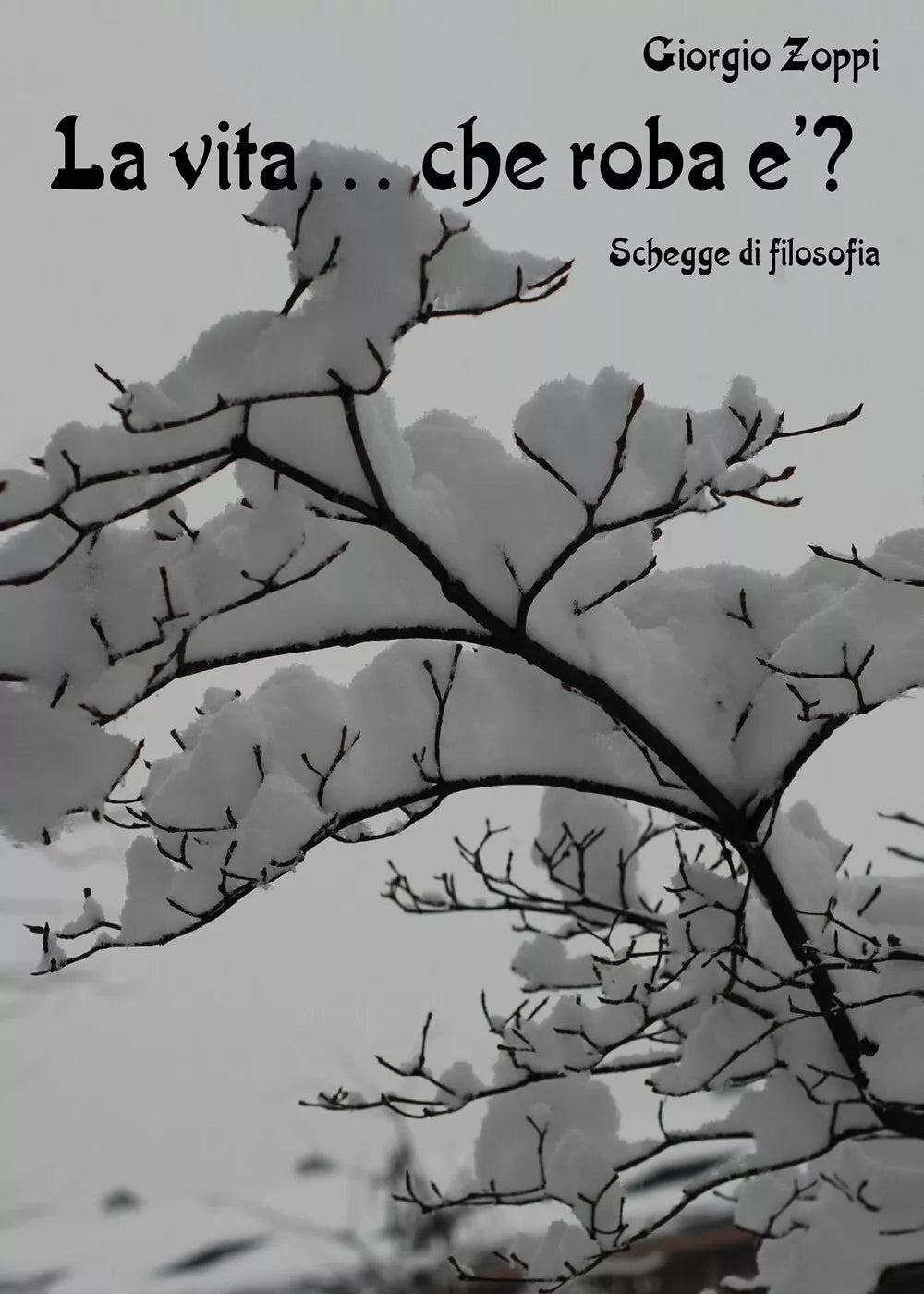 La vita che roba Schegge di filosofia di Giorgio Zoppi