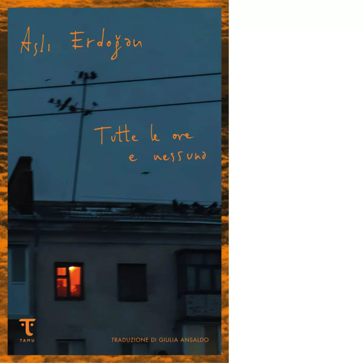 Tutte le ore e nessuna Libro di Asli Erdogan