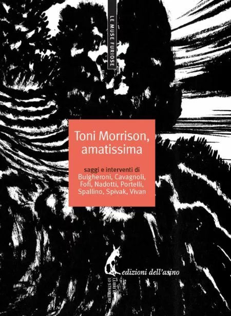 Toni Morrison, amatissima. Saggi e interventi di Marisa Bulgheroni, 2014, Ediz