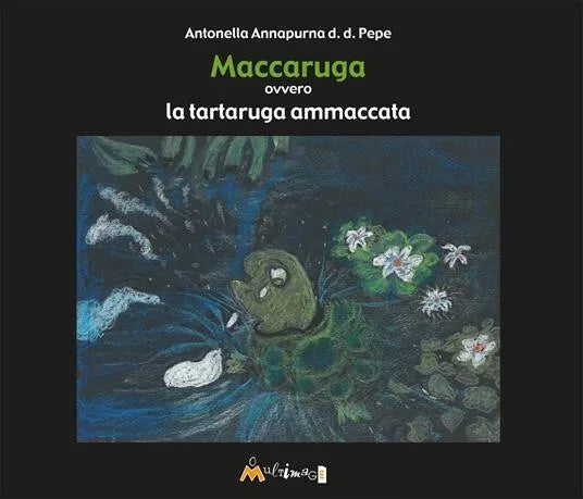 Maccaruga Ovvero la tartaruga ammaccata di Annapurna D D