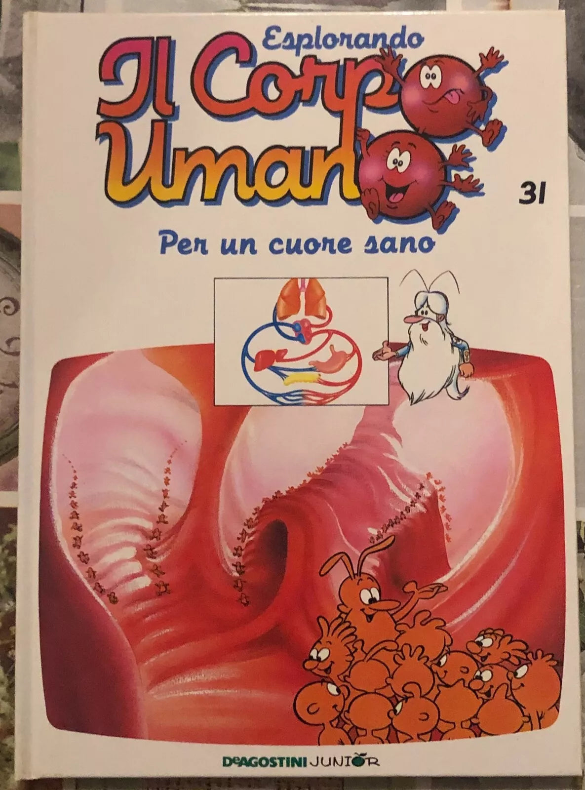 Esplorando il corpo umano n 31