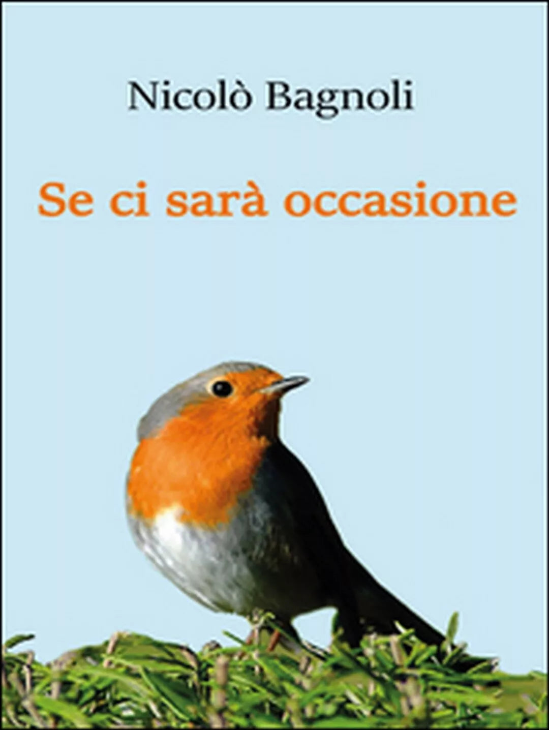 Se ci sara occasione di Nicolo Bagnoli, 2016, Youcanprint