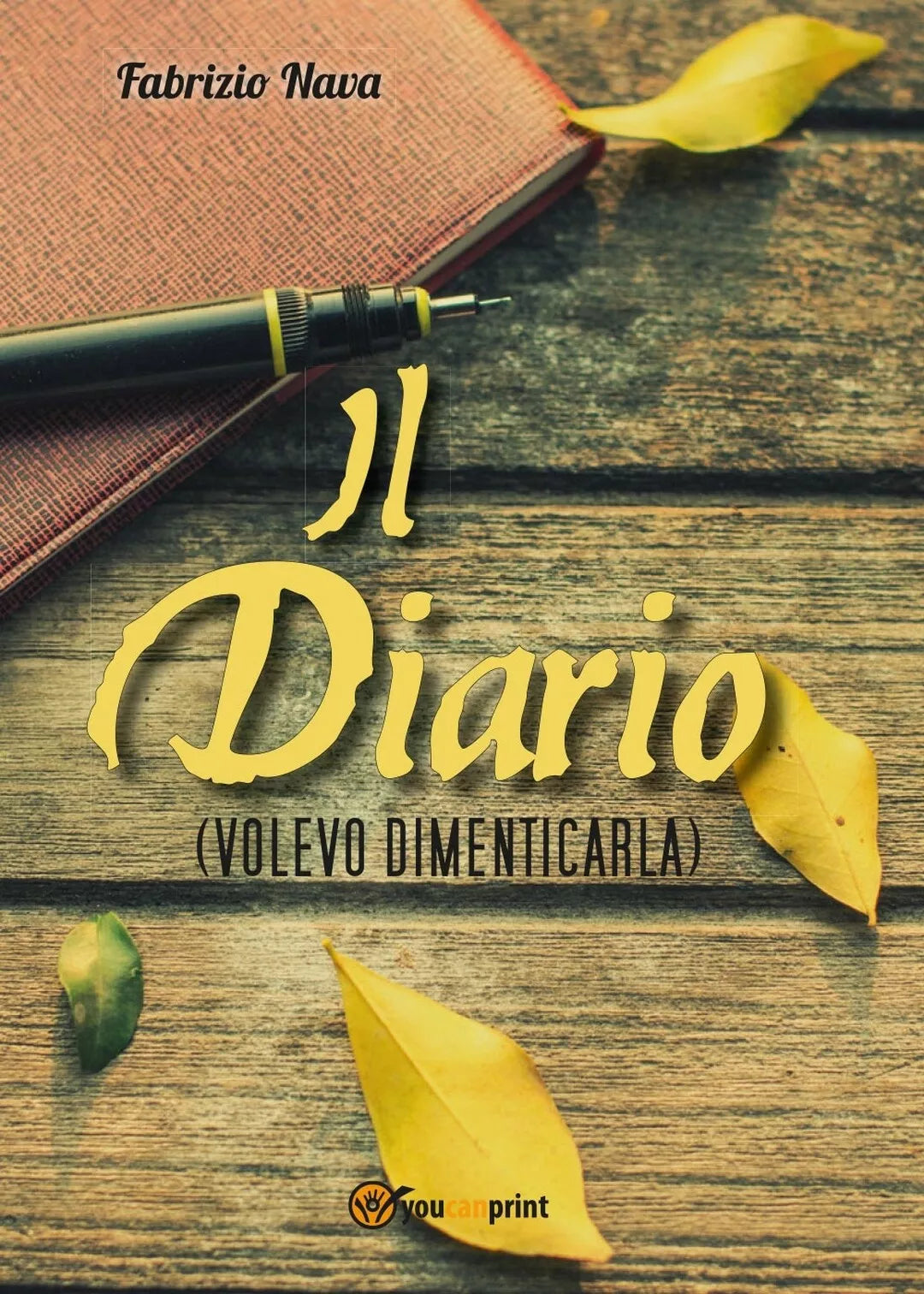 Il diario Volevo dimenticarla di Fabrizio Nava, 2017, Youcanprint