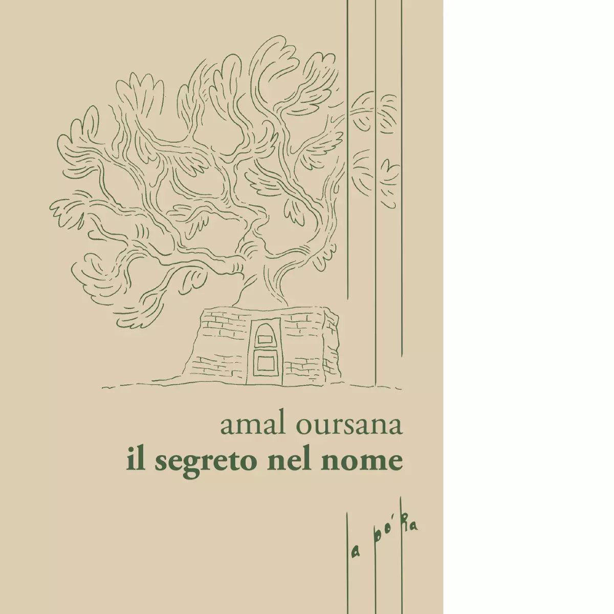 Il segreto nel nome di Amal Oursana